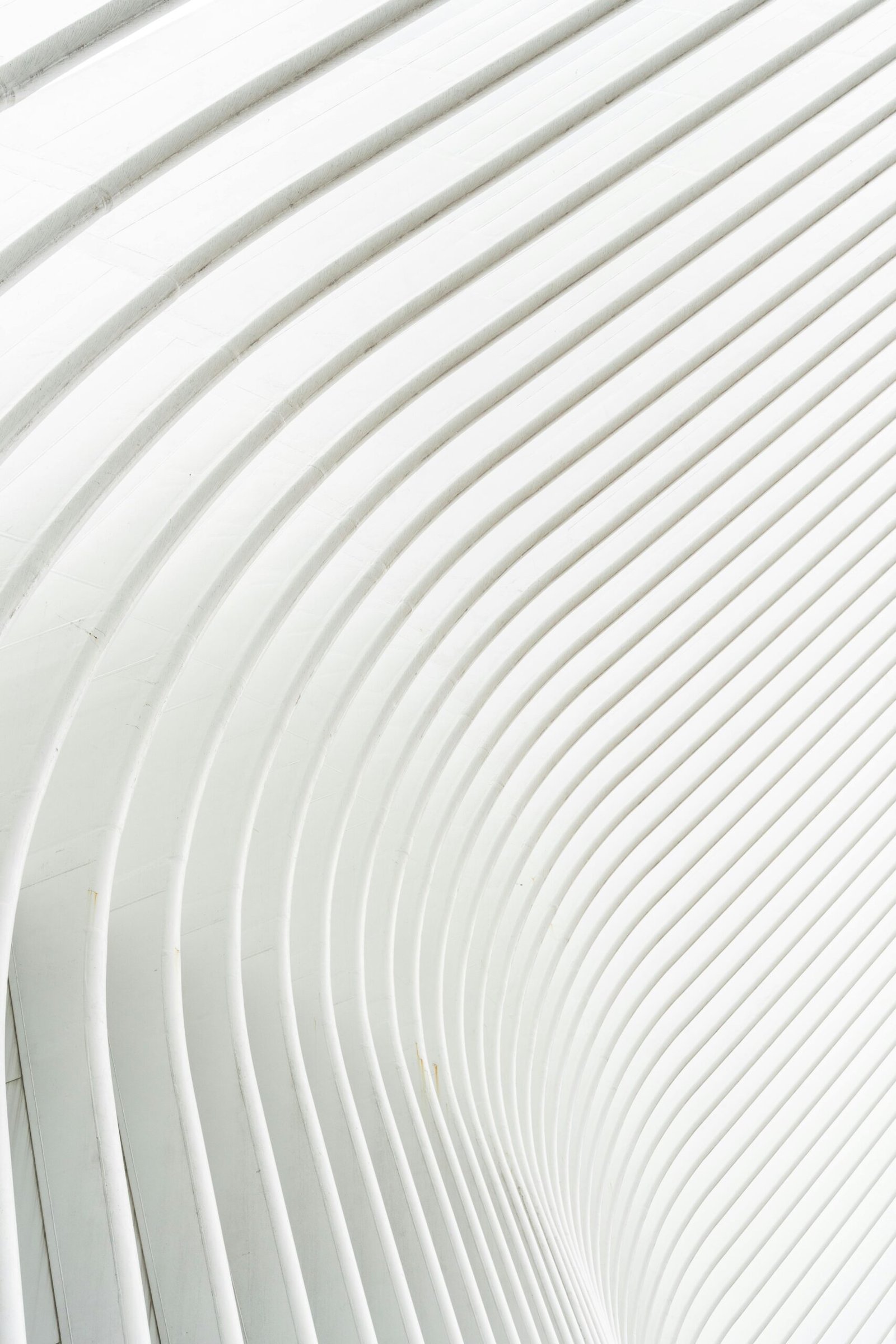 Minimalist white abstract pattern featuring curved architectural lines.